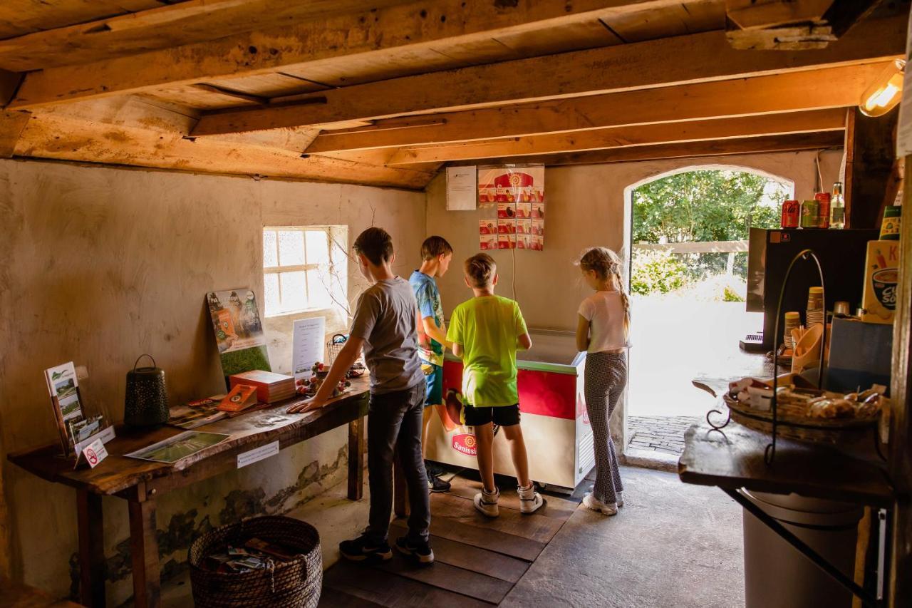 Charmecamping & Appartementen De Regge-Vallei Den Ham Dış mekan fotoğraf